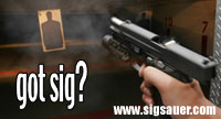 GOT-SIG-Gun-WS2